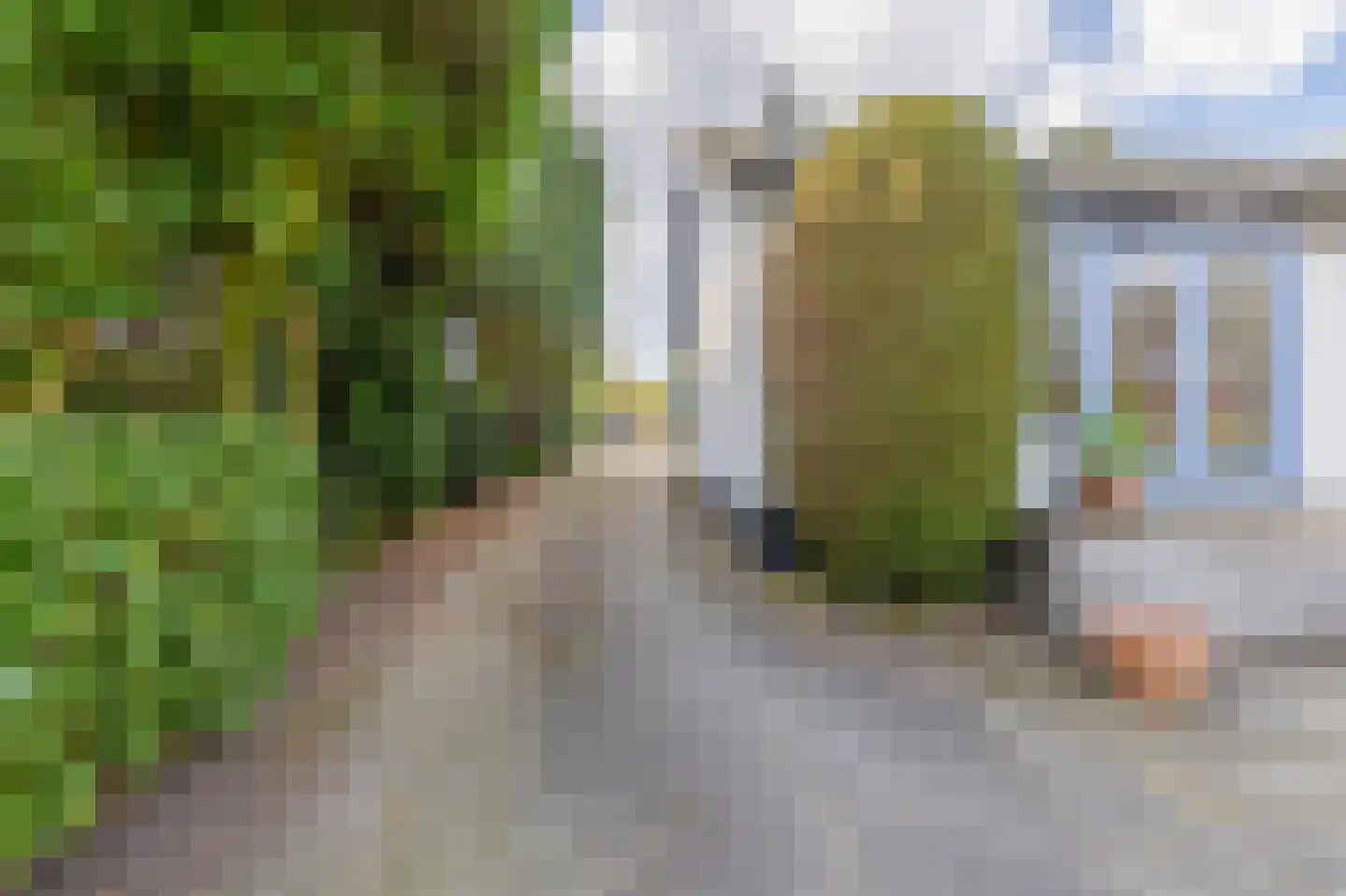Vlietkade 11 d Zevenhuizen thumbnail 8
