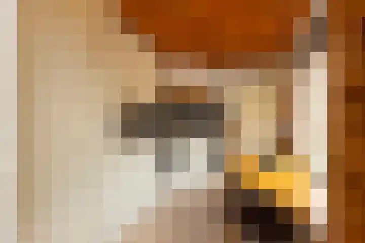 Vlietkade 17 Bodegraven thumbnail 10
