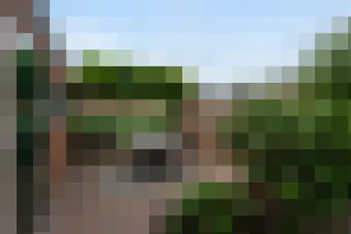 Vlietkade 17 Bodegraven thumbnail 17