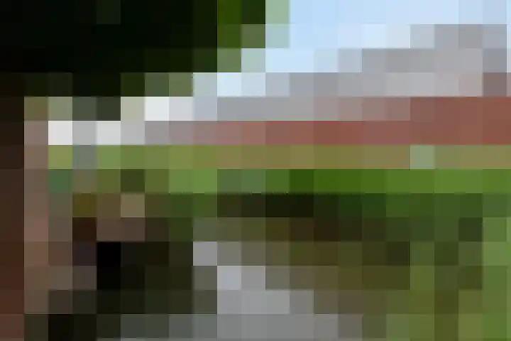 Vlietkade 17 Bodegraven thumbnail 19