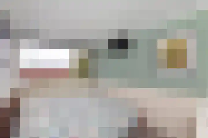 Vlietkade 17 Bodegraven thumbnail 23