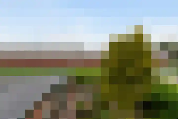 Vlietkade 17 Bodegraven thumbnail 24
