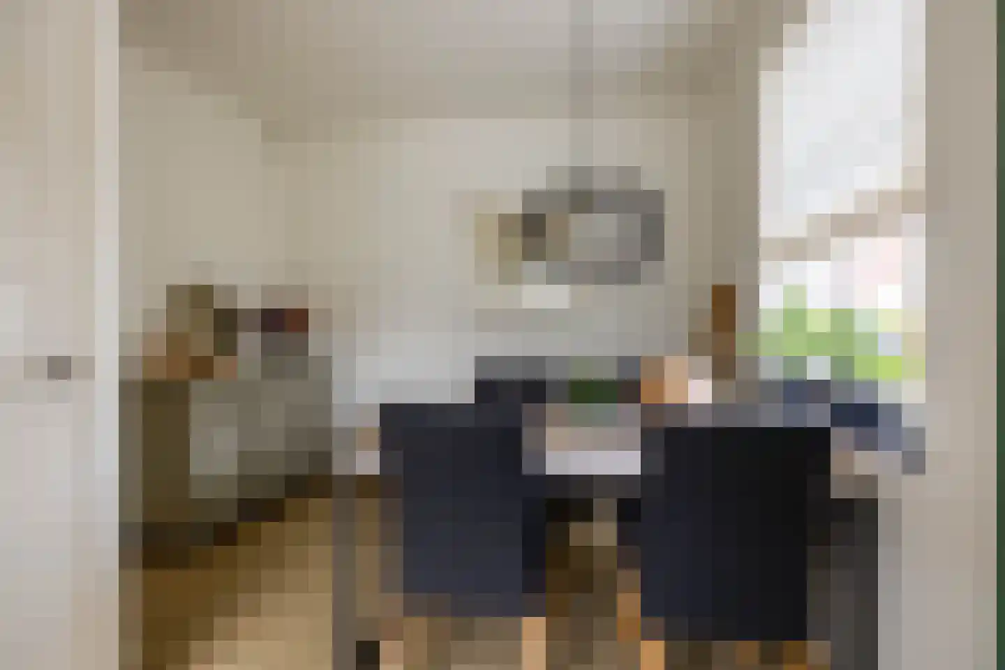 Vlietkade 26 Zevenhuizen thumbnail 11
