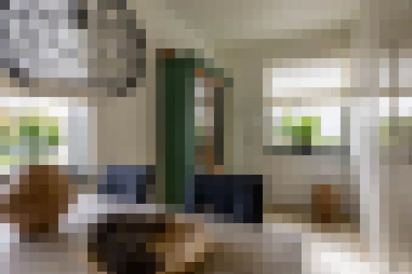 Vlietkade 26 Zevenhuizen thumbnail 12