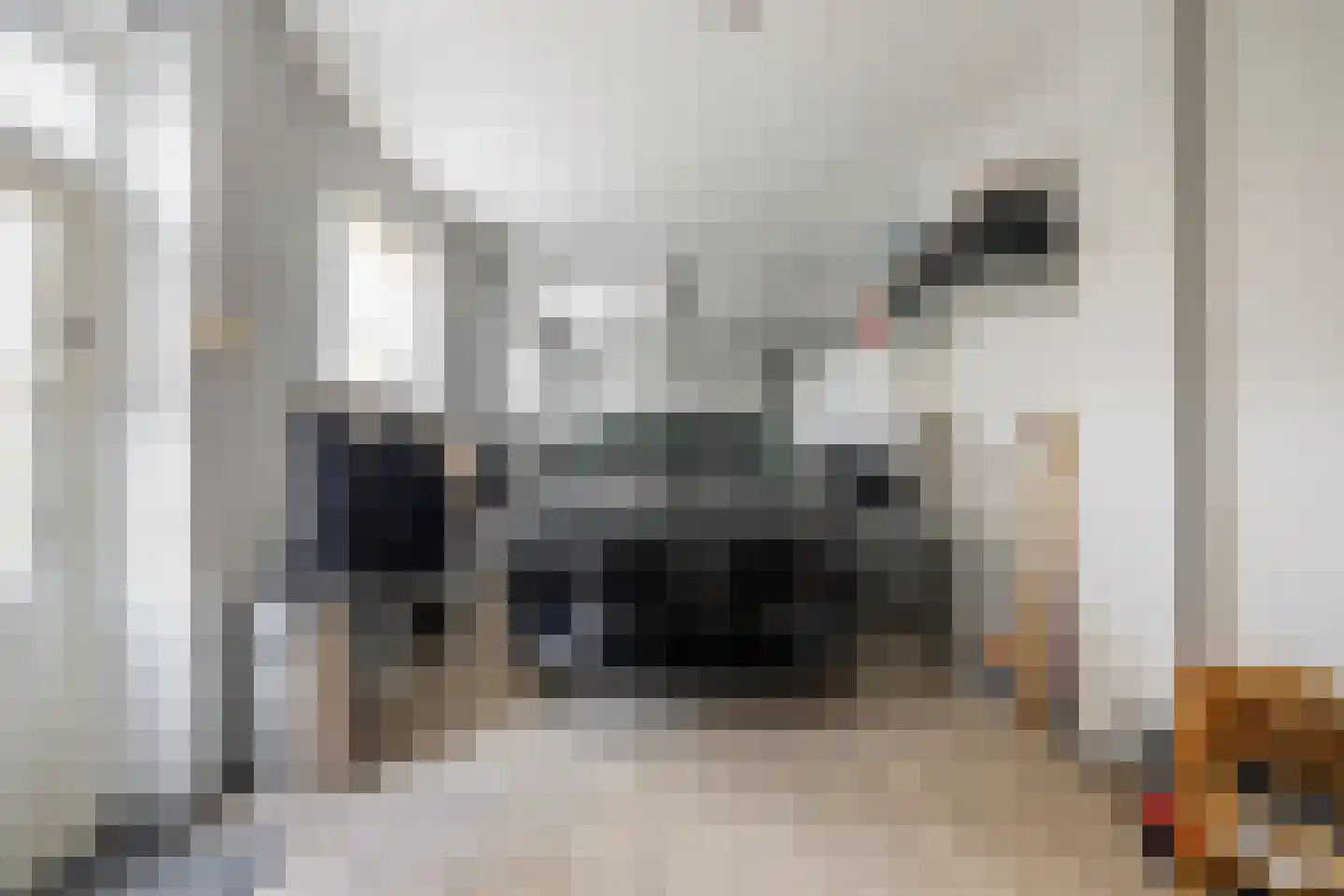 Vlietkade 26 Zevenhuizen thumbnail 14