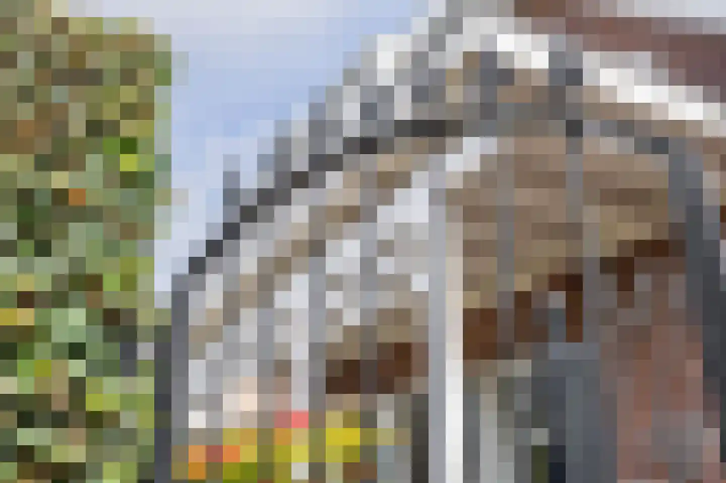Vlietkade 26 Zevenhuizen thumbnail 27