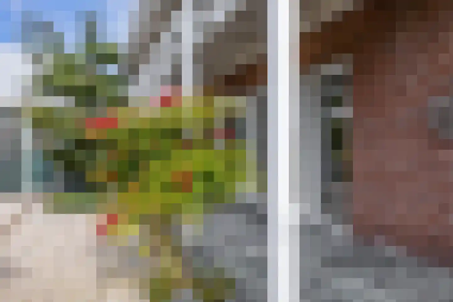 Vlietkade 26 Zevenhuizen thumbnail 28