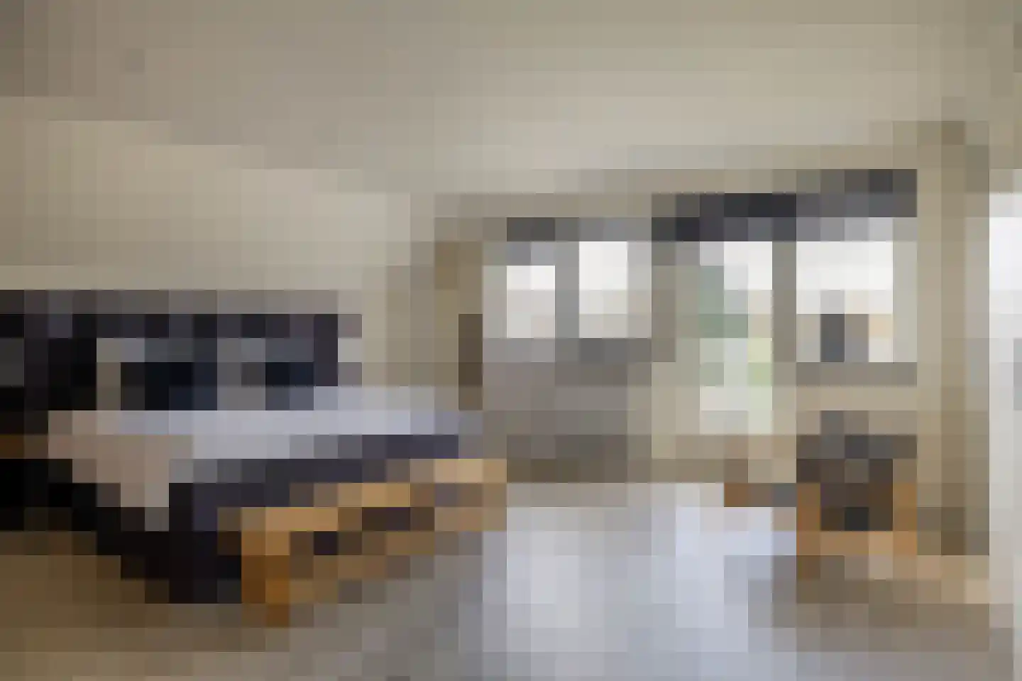 Vlietkade 26 Zevenhuizen thumbnail 31