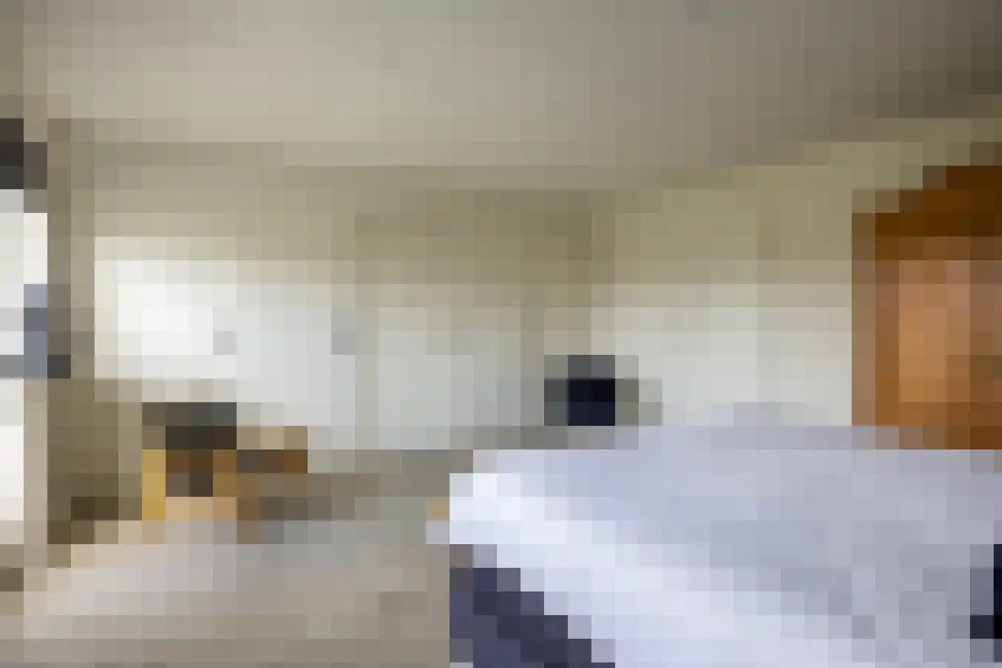 Vlietkade 26 Zevenhuizen thumbnail 32