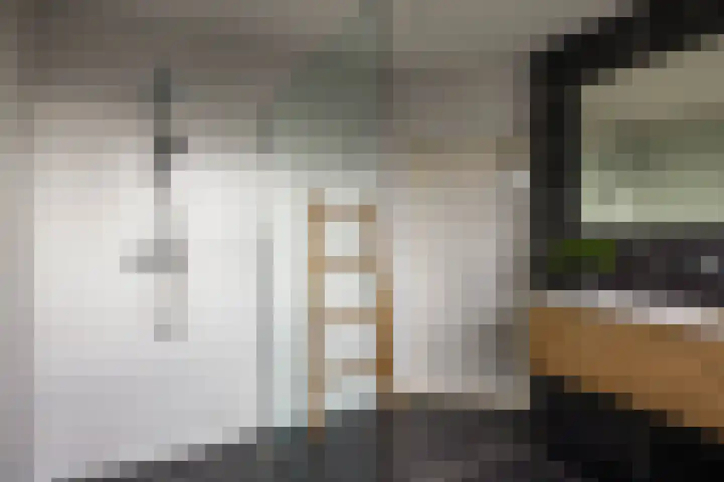 Vlietkade 26 Zevenhuizen thumbnail 33