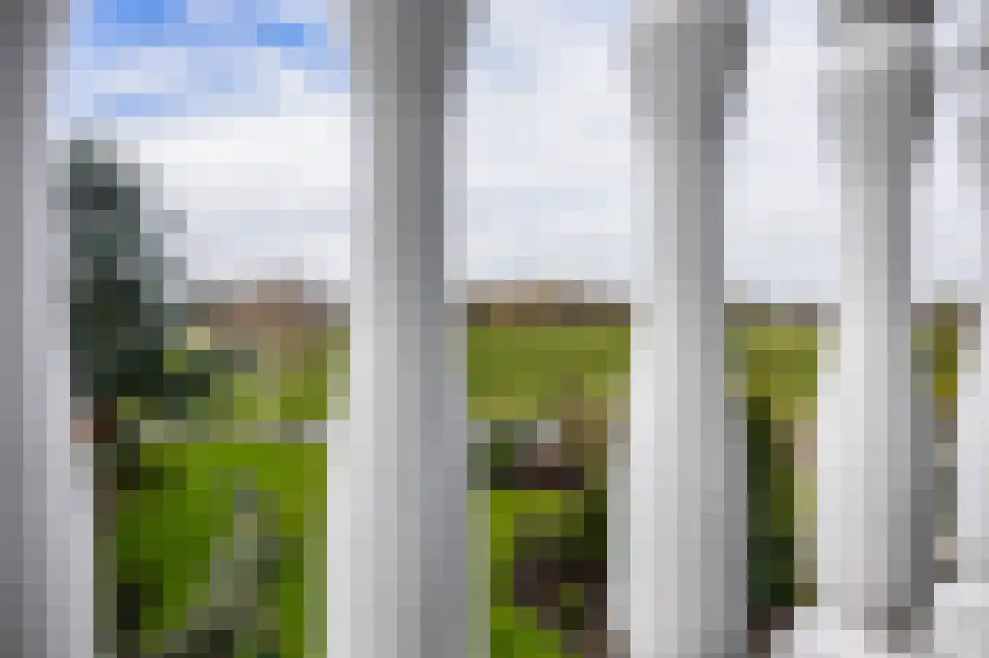 Vlietkade 26 Zevenhuizen thumbnail 38