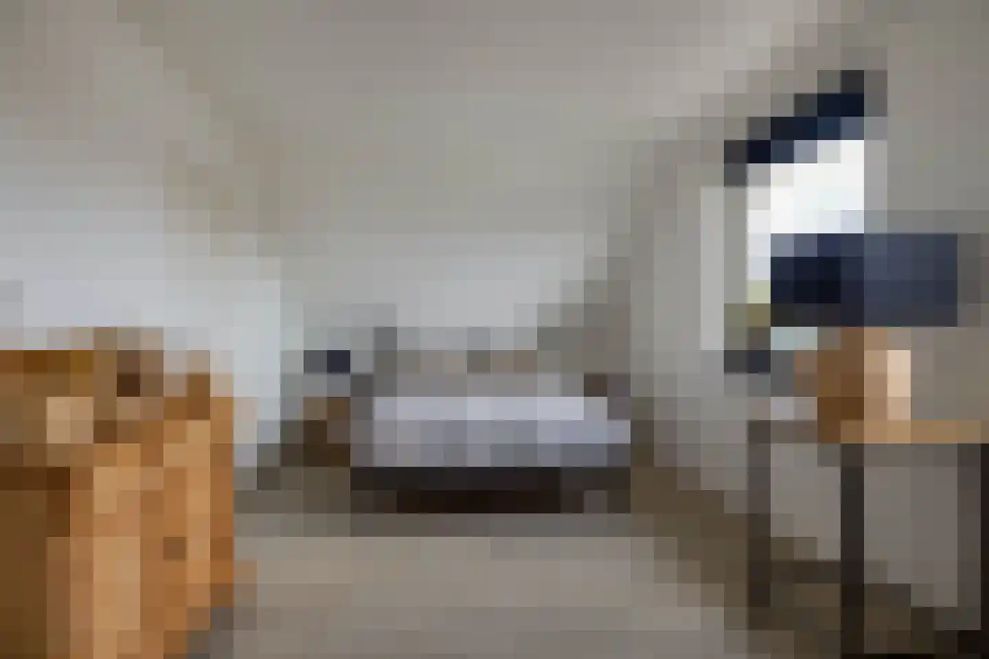 Vlietkade 26 Zevenhuizen thumbnail 39