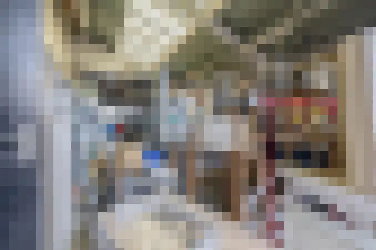 Vlietkade 26 Zevenhuizen thumbnail 44