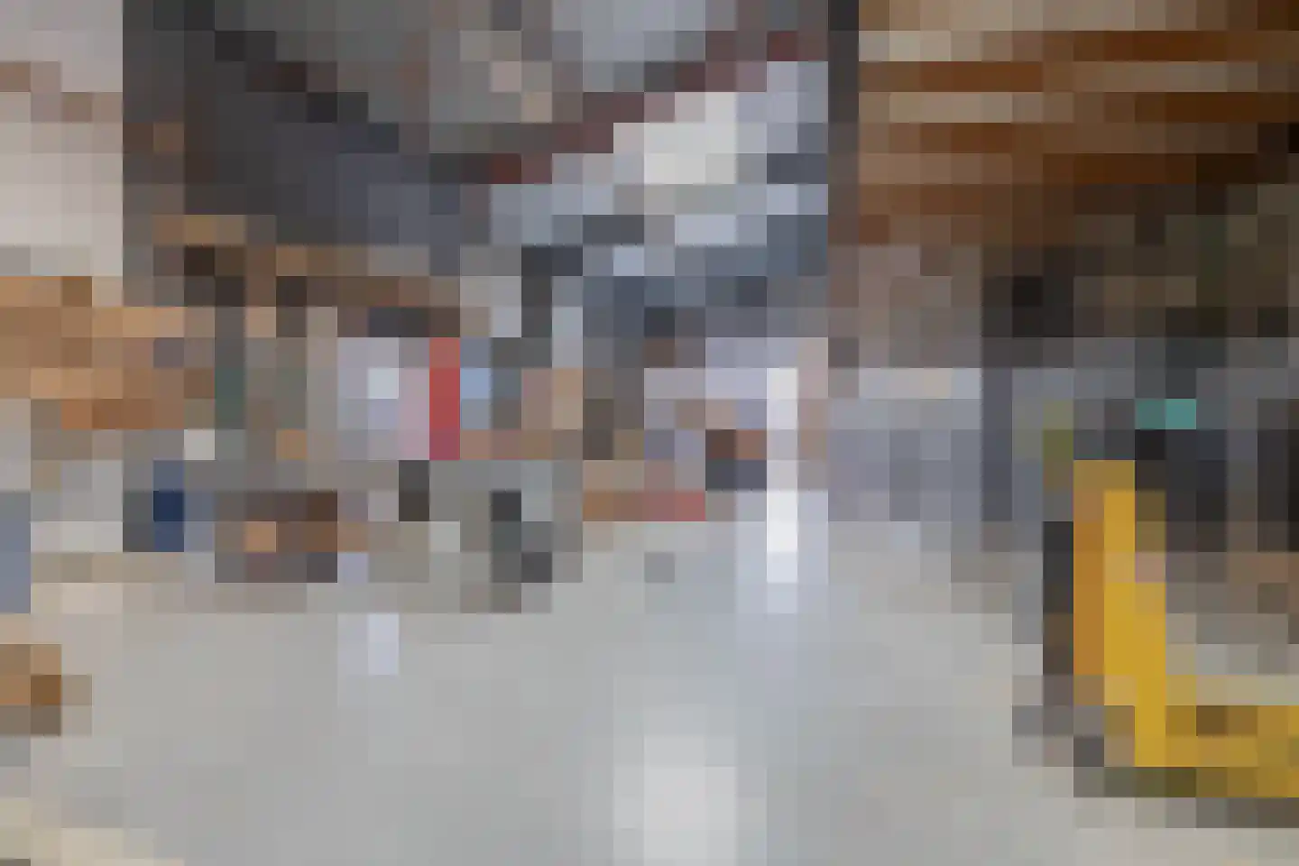 Vlietkade 26 Zevenhuizen thumbnail 45
