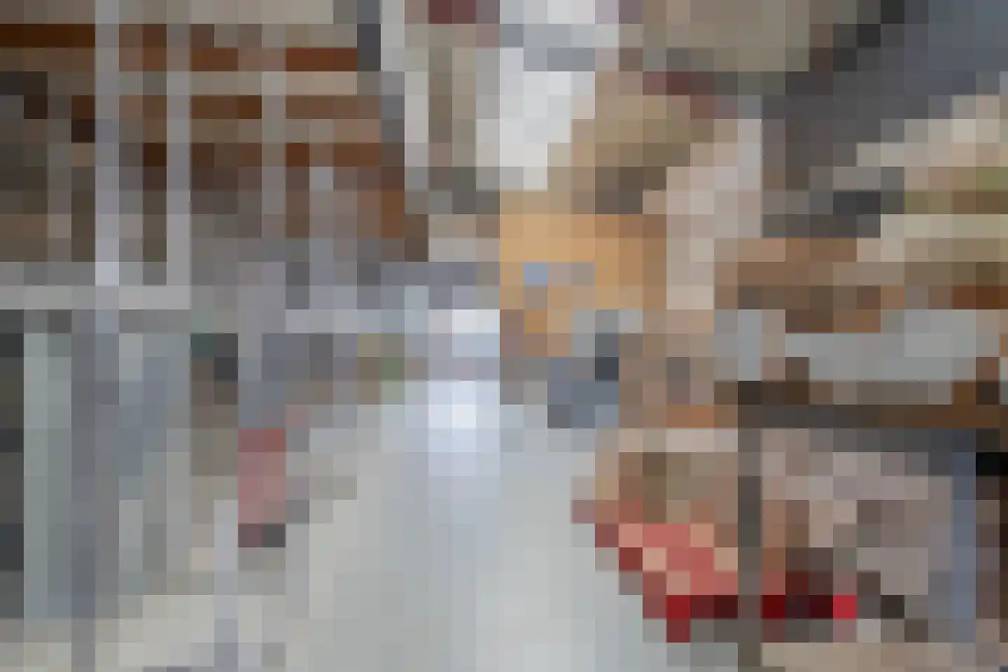 Vlietkade 26 Zevenhuizen thumbnail 46