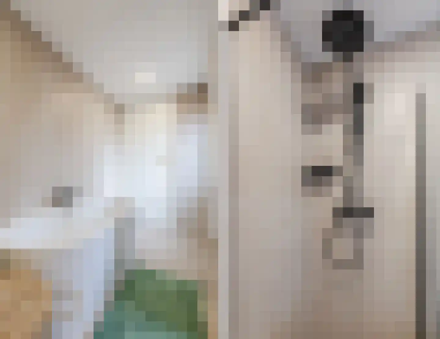 Vlietkade 27 Bodegraven thumbnail 25