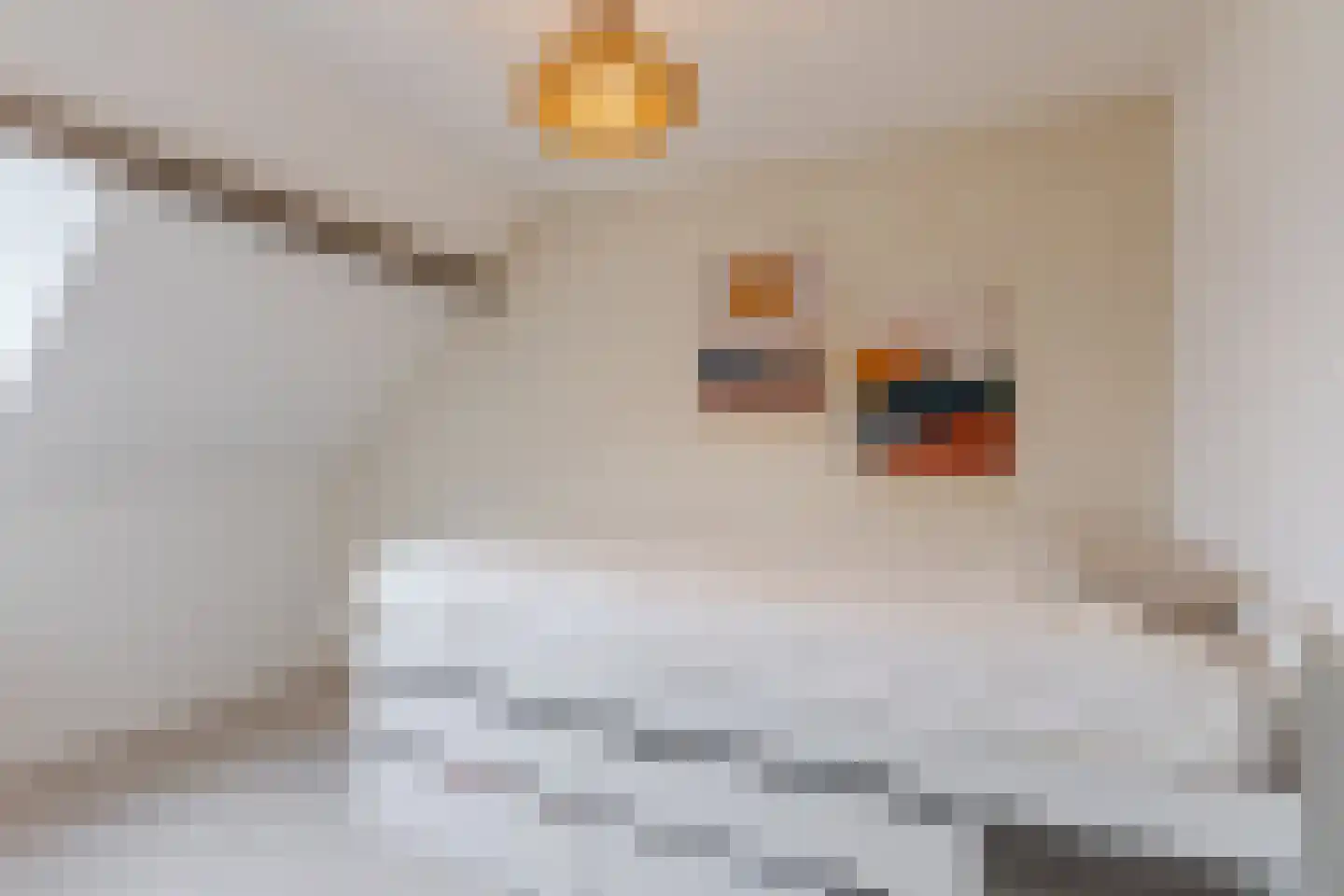 Vlietkade 27 Bodegraven thumbnail 31