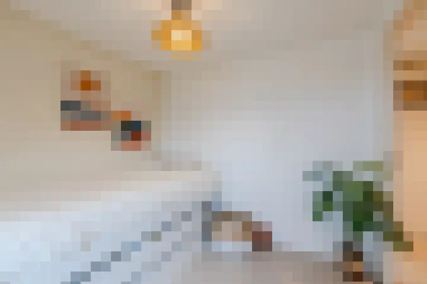 Vlietkade 27 Bodegraven thumbnail 33