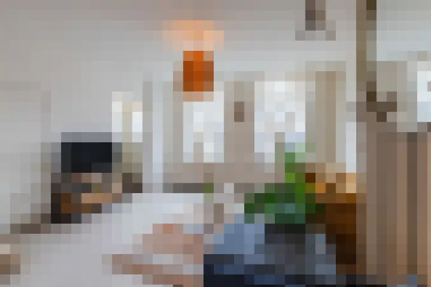 Vlietkade 27 Bodegraven thumbnail 9