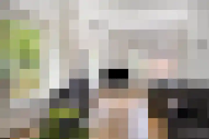 Vlietlaan 15 Gorinchem thumbnail 10