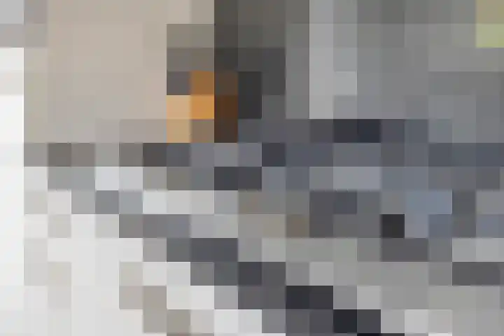 Vlietlaan 15 Gorinchem thumbnail 15