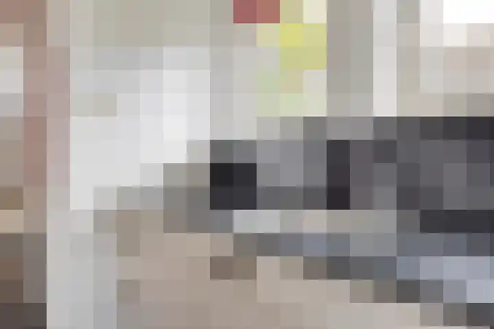 Vlietlaan 15 Gorinchem thumbnail 16