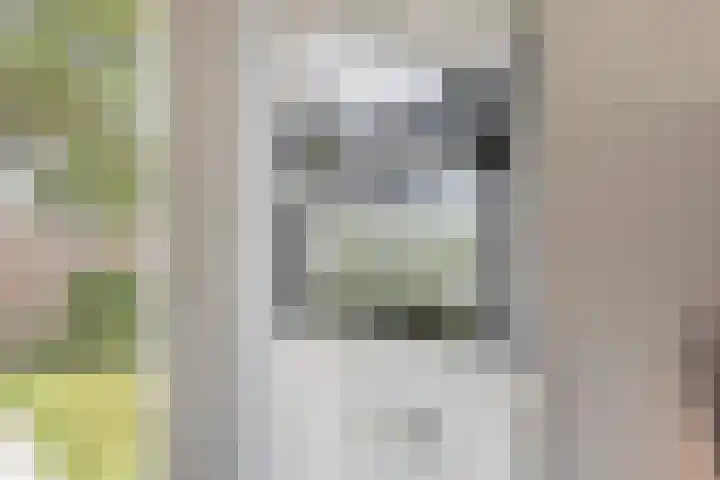Vlietlaan 15 Gorinchem thumbnail 17