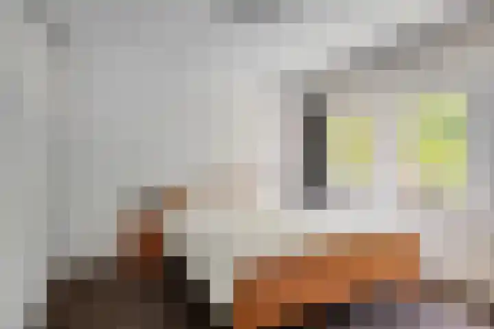 Vlietlaan 15 Gorinchem thumbnail 18
