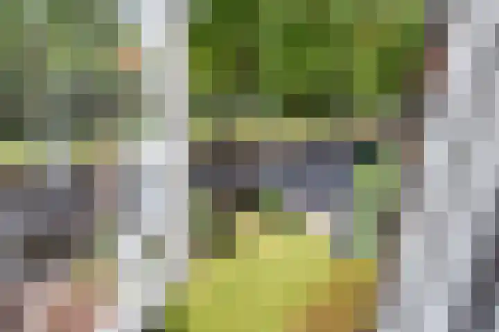 Vlietlaan 15 Gorinchem thumbnail 20
