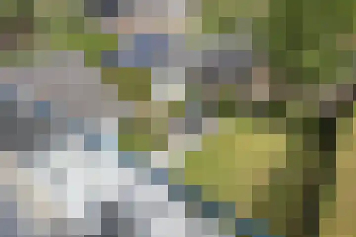 Vlietlaan 15 Gorinchem thumbnail 32