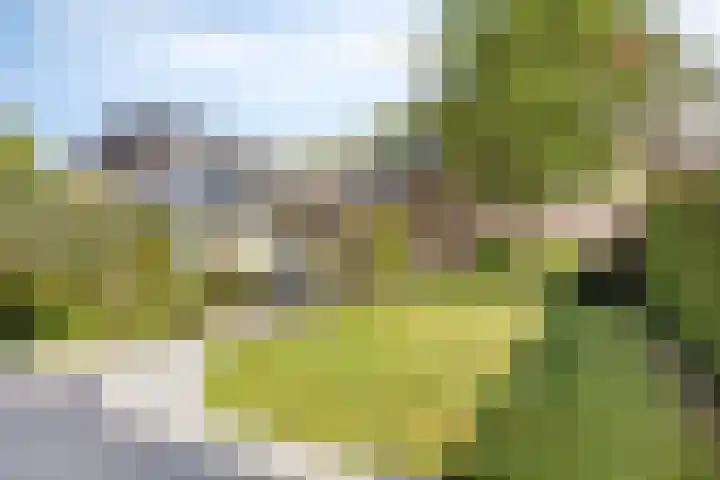 Vlietlaan 15 Gorinchem thumbnail 34