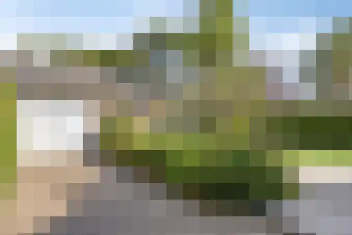 Vlietlaan 15 Gorinchem thumbnail 35