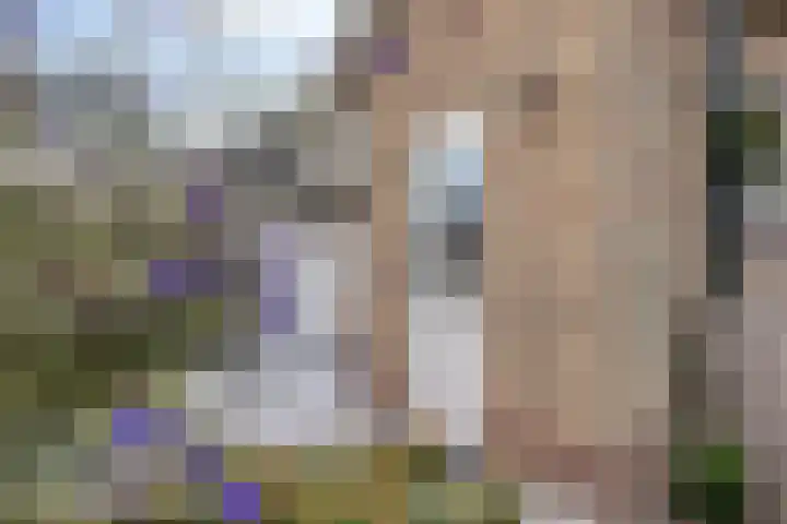 Vlietlaan 15 Gorinchem thumbnail 36