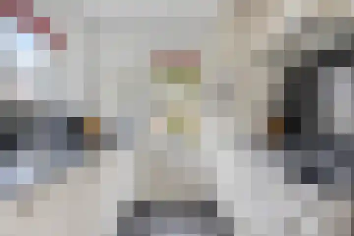 Vlietlaan 15 Gorinchem thumbnail 4