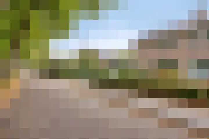 Vlietlaan 15 Gorinchem thumbnail 6