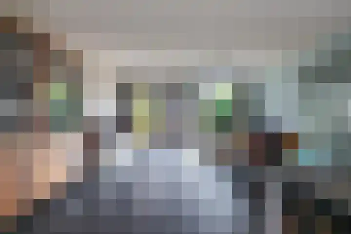 Vlietlaan 22 Wateringen thumbnail 13