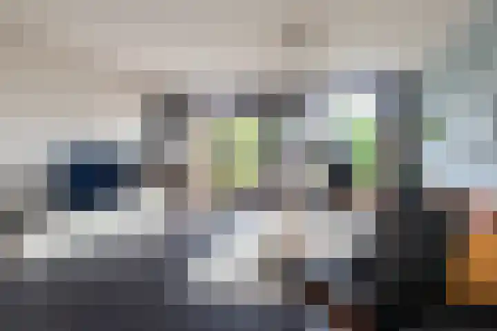 Vlietlaan 22 Wateringen thumbnail 14