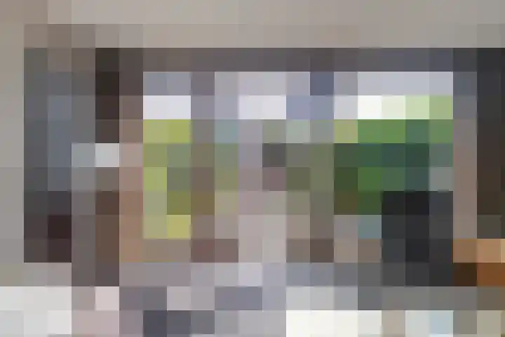Vlietlaan 22 Wateringen thumbnail 15