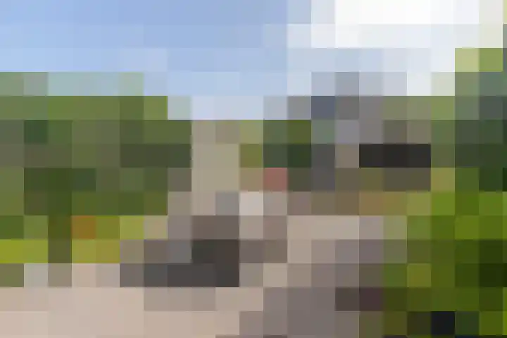 Vlietlaan 22 Wateringen thumbnail 17