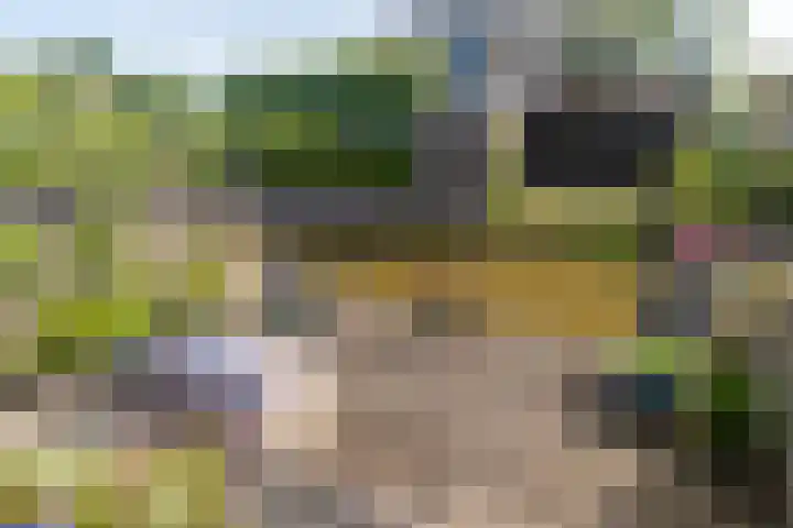 Vlietlaan 22 Wateringen thumbnail 18