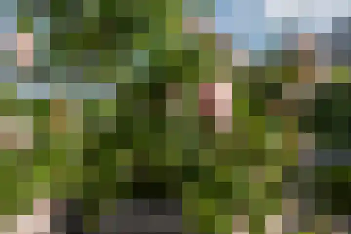 Vlietlaan 22 Wateringen thumbnail 19