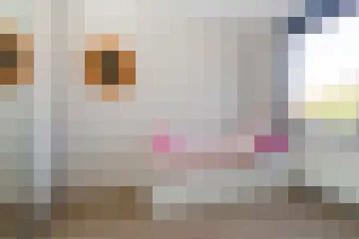 Vlietlaan 22 Wateringen thumbnail 24