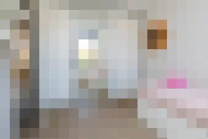 Vlietlaan 22 Wateringen thumbnail 26