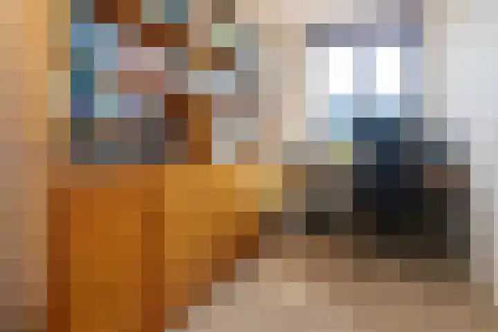 Vlietlaan 22 Wateringen thumbnail 27
