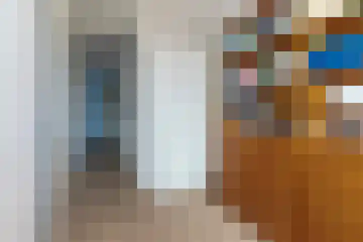 Vlietlaan 22 Wateringen thumbnail 28