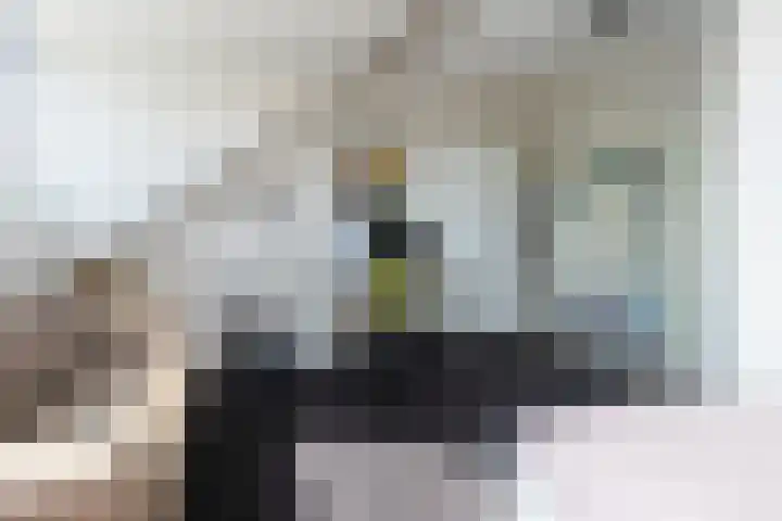 Vlietlaan 22 Wateringen thumbnail 34