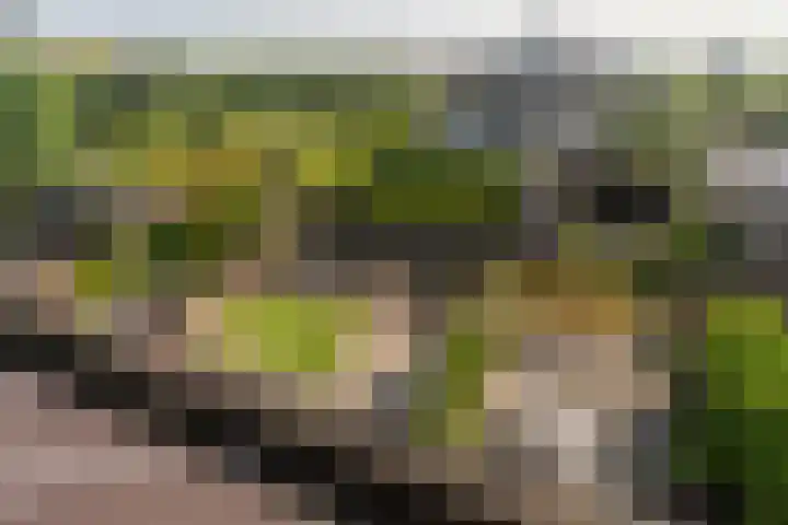 Vlietlaan 22 Wateringen thumbnail 35