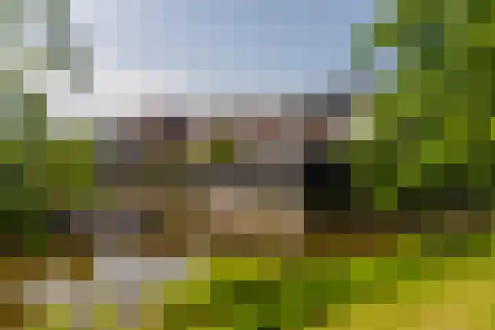 Vlietlaan 22 Wateringen thumbnail 43
