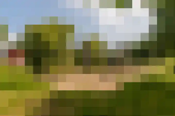 Vlietlaan 22 Wateringen thumbnail 44