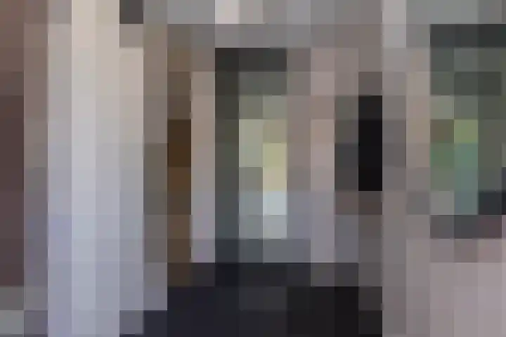 Vlietlaan 22 Wateringen thumbnail 6